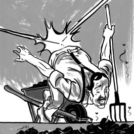 Schaufelberger Illustration Shop