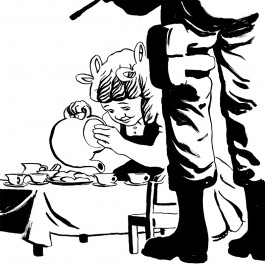 Schaufelberger Illustration Shop