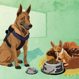 Schaufelberger Illustration Shop